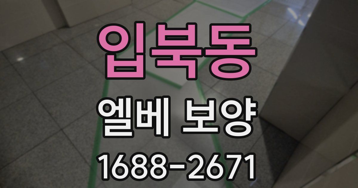 입북동 엘베 보양