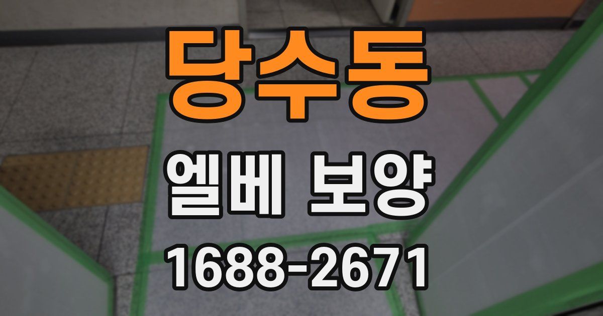 당수동 엘베 보양