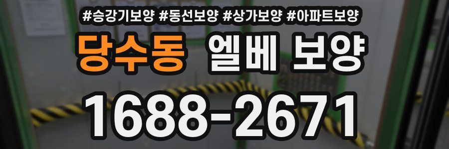 당수동 엘베 보양