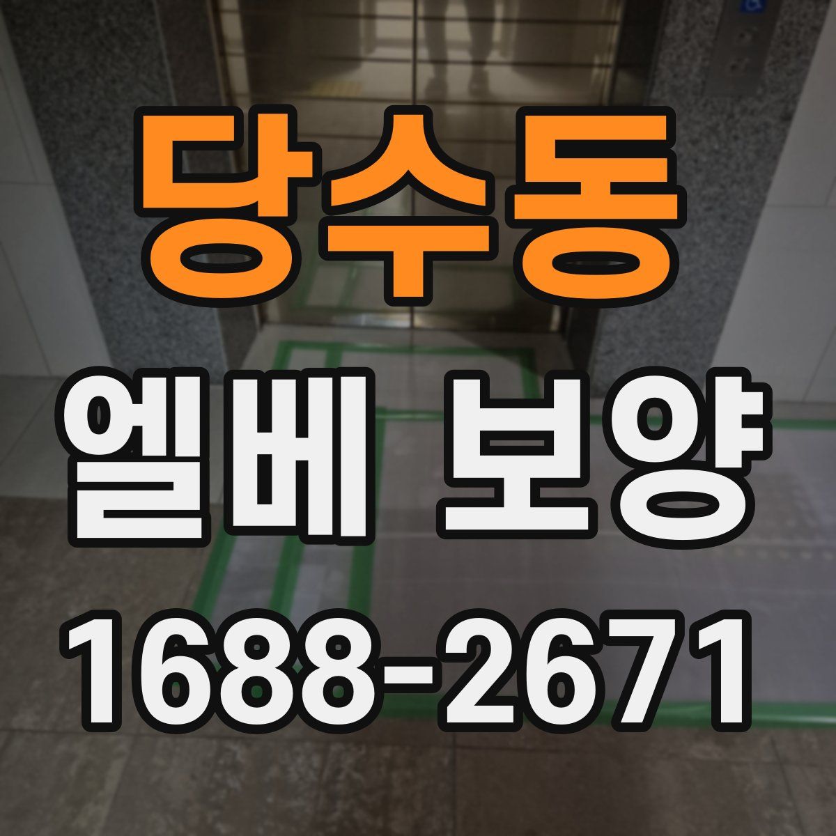 당수동 엘베 보양
