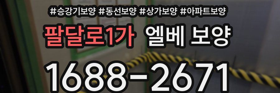 팔달로1가 엘베 보양
