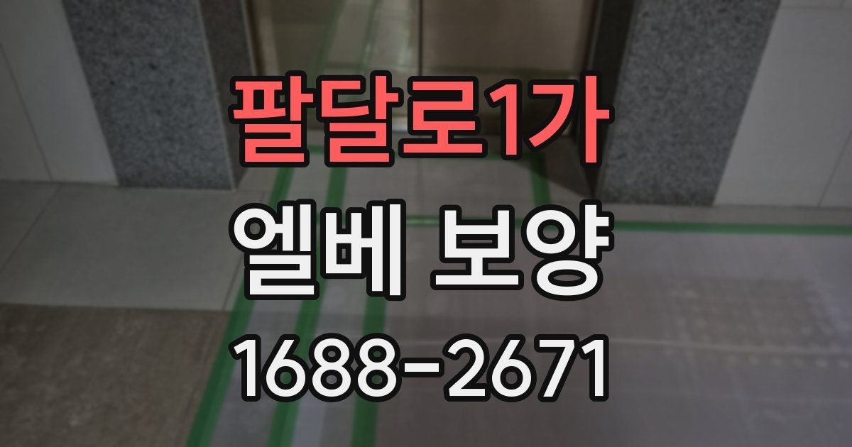 팔달로1가 엘베 보양