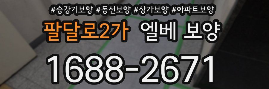 팔달로2가 엘베 보양