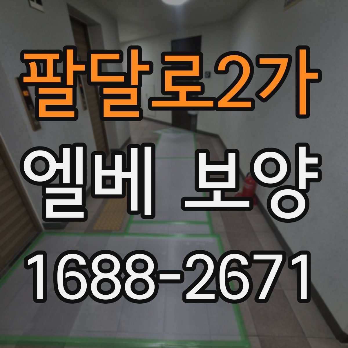 팔달로2가 엘베 보양