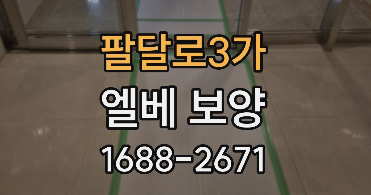 팔달로3가 엘베 보양