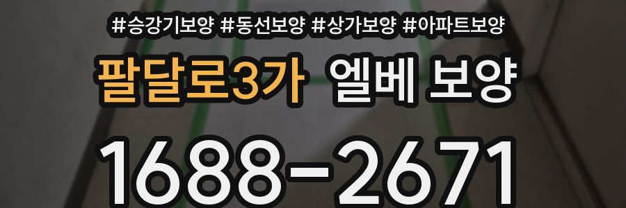 팔달로3가 엘베 보양
