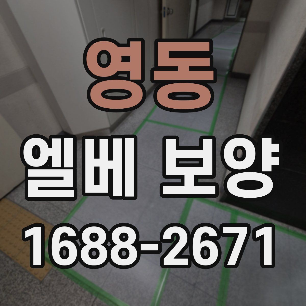 영동 엘베 보양 엘리베이터 손상 방지 포인트 정리