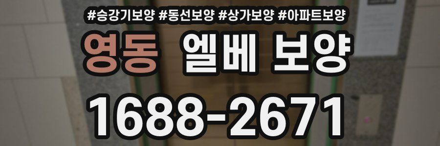 영동 엘베 보양
