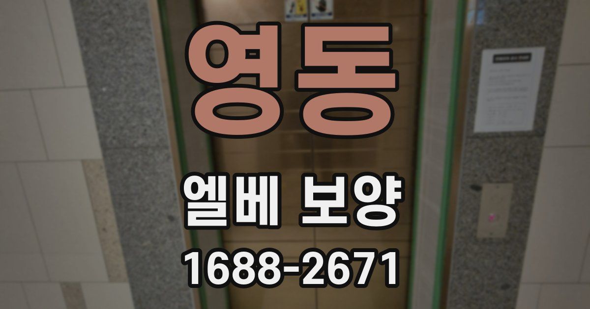 영동 엘베 보양