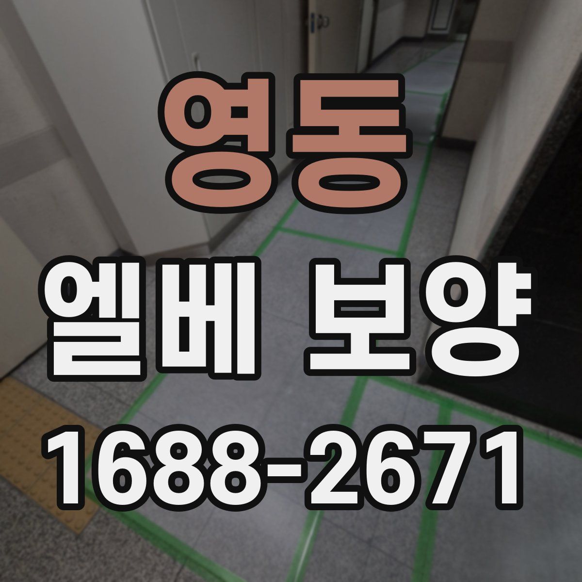 영동 엘베 보양