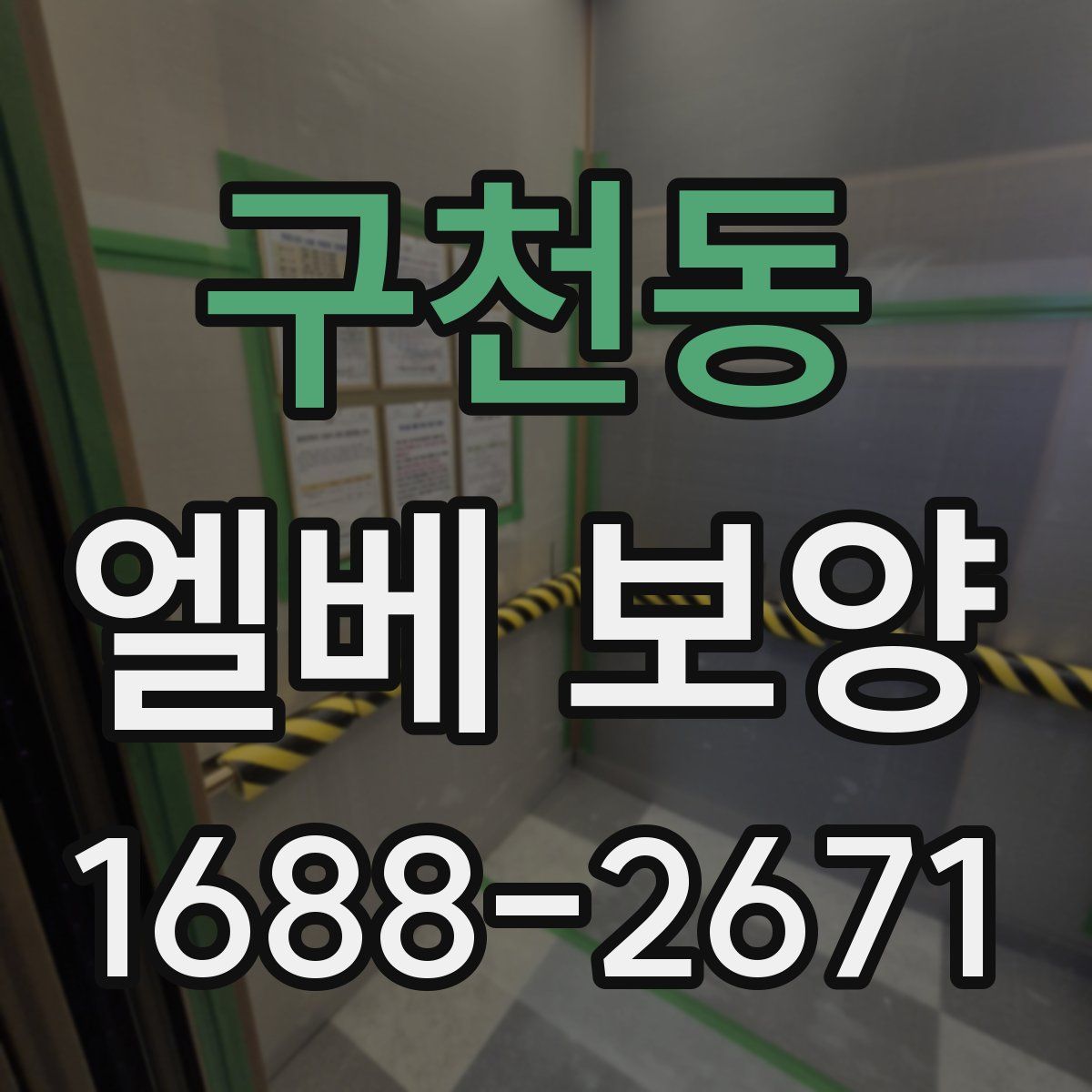 구천동 엘베 보양