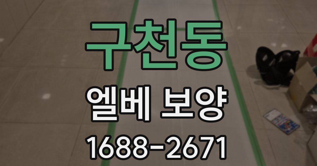 구천동 엘베 보양