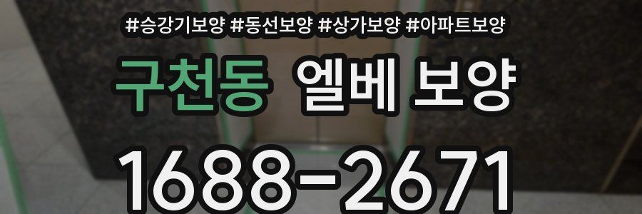 구천동 엘베 보양