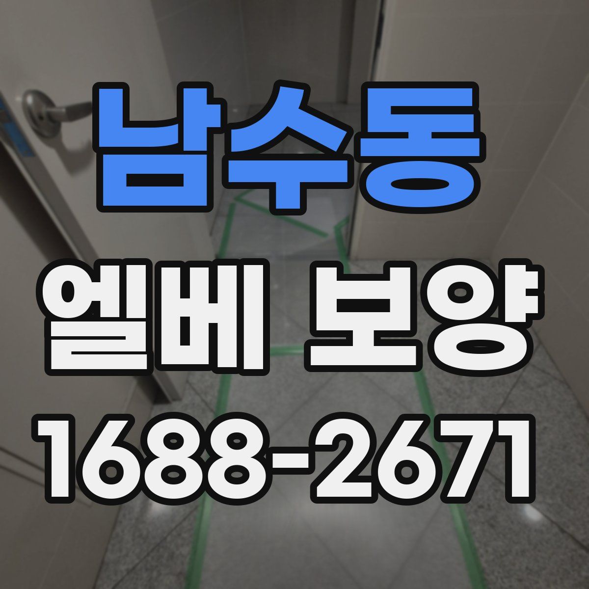 남수동 엘베 보양