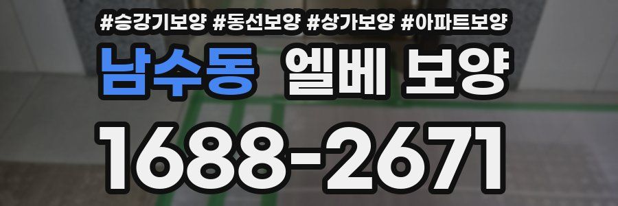 남수동 엘베 보양