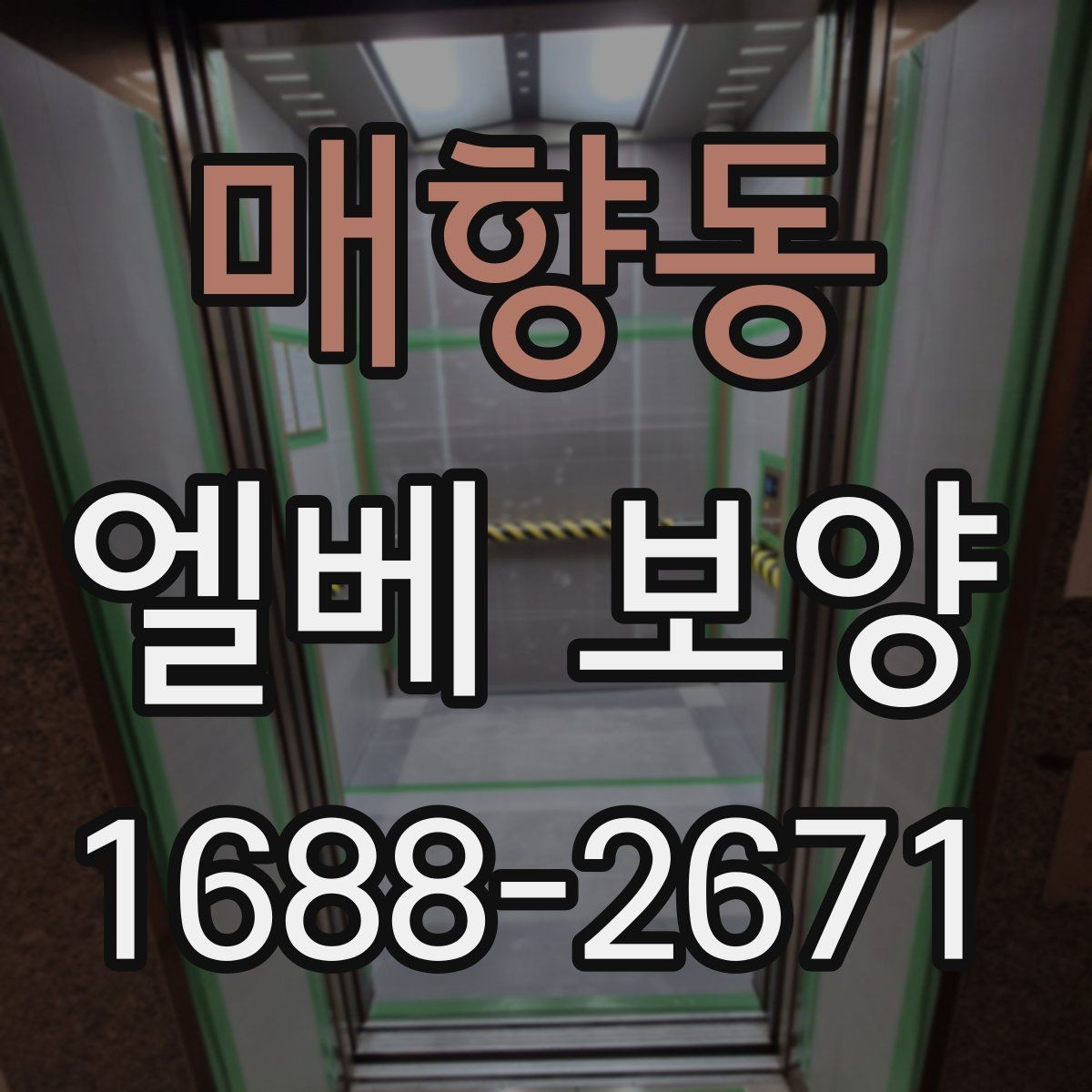 매향동 엘베 보양 유리 패널이 있는 내부 점검 항목