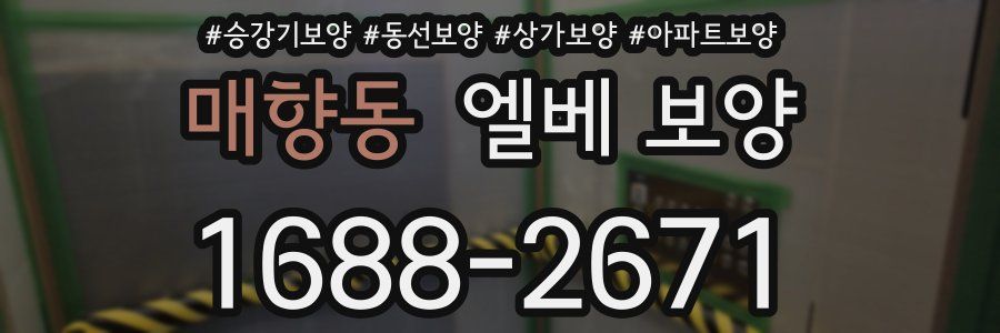 매향동 엘베 보양