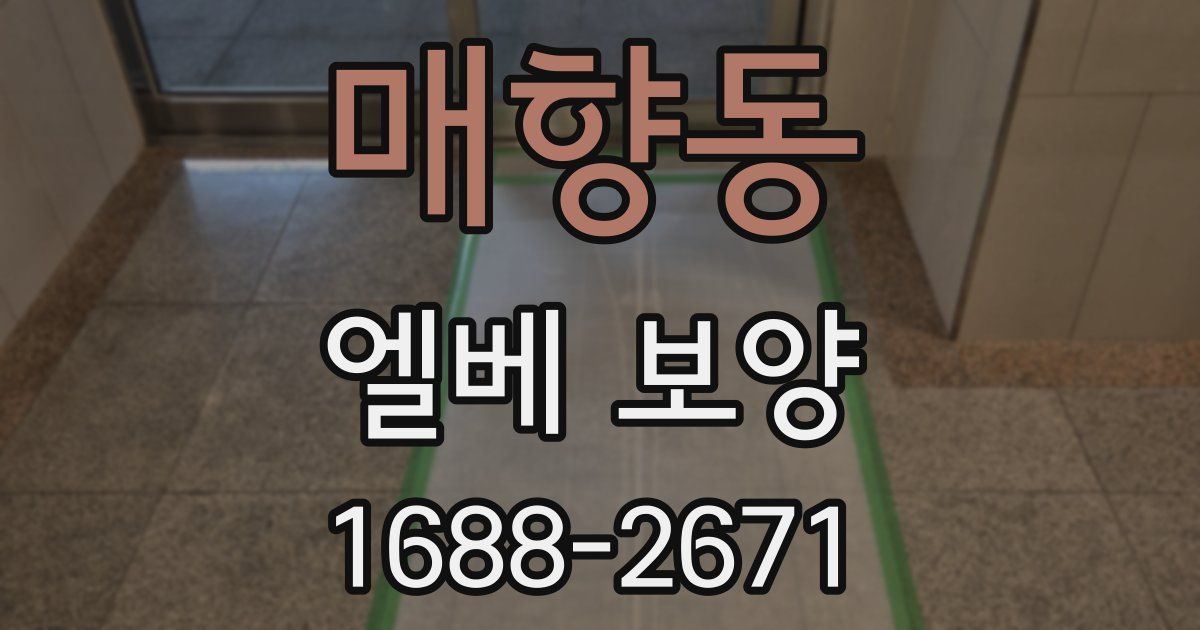 매향동 엘베 보양