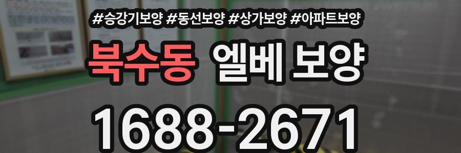 북수동 엘베 보양