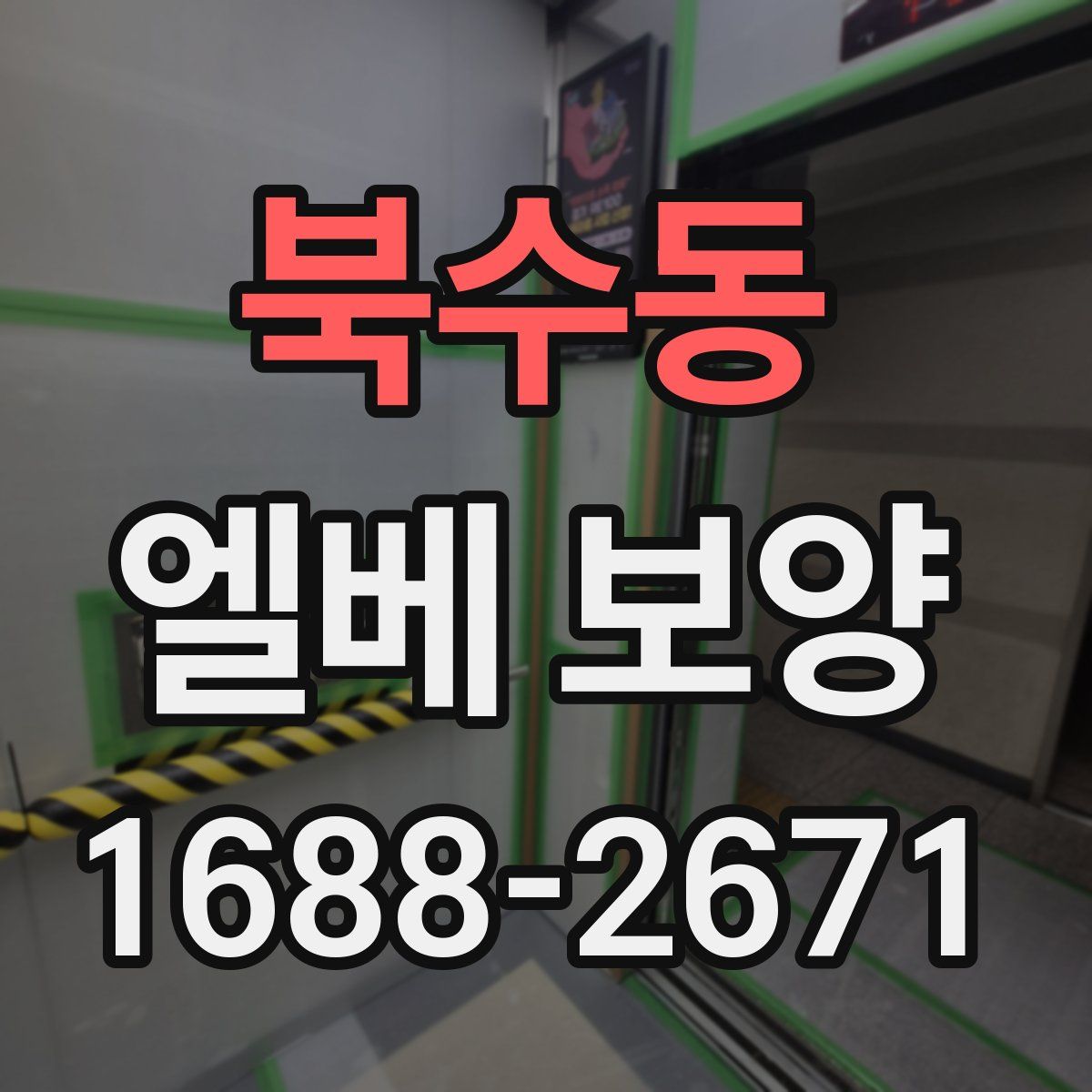 북수동 엘베 보양