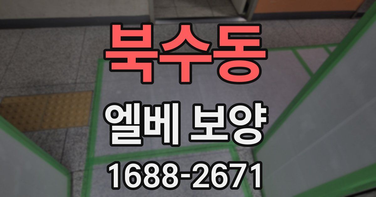 북수동 엘베 보양