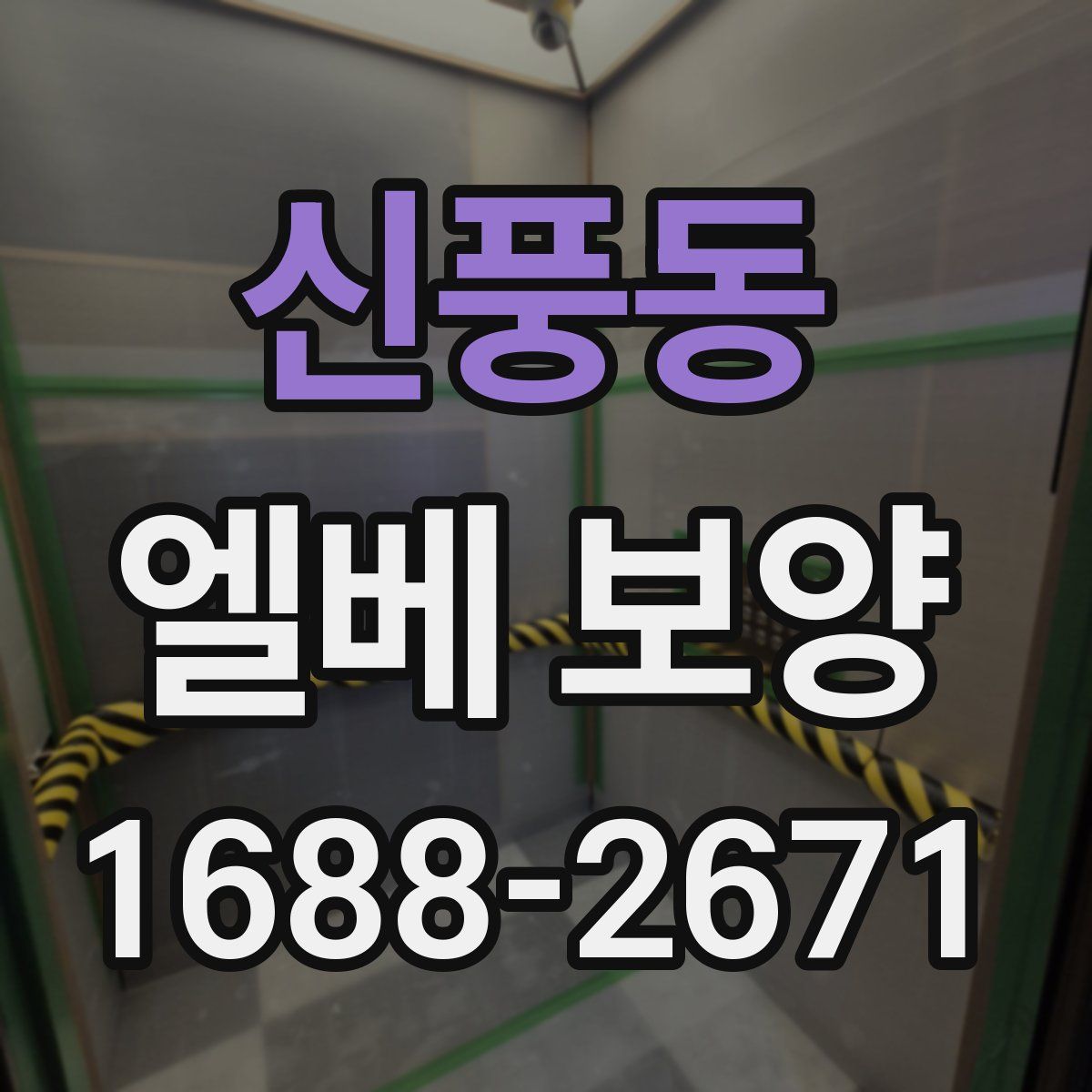 신풍동 엘베 보양