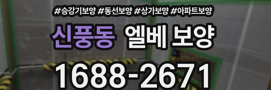 신풍동 엘베 보양