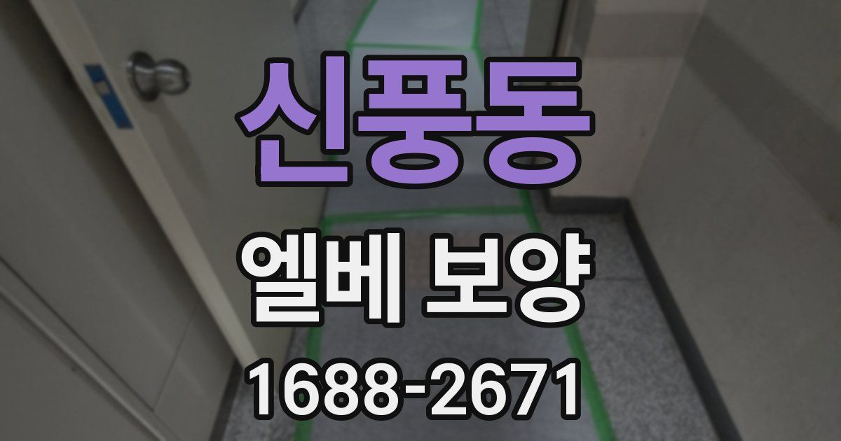 신풍동 엘베 보양