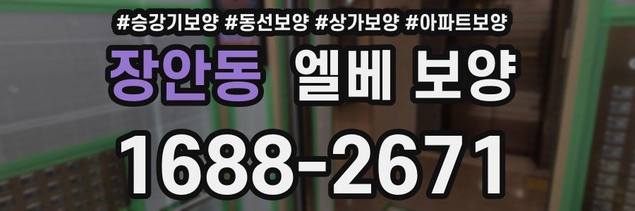 장안동 엘베 보양