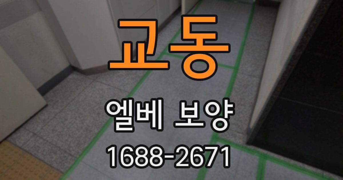 교동 엘베 보양