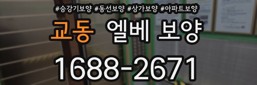 교동 엘베 보양