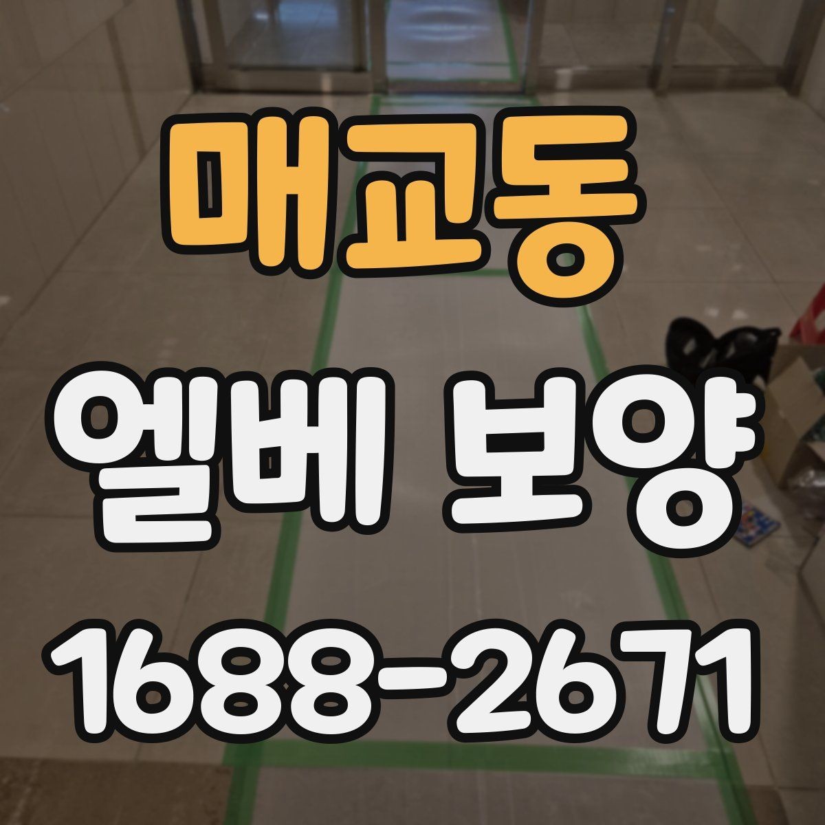 매교동 엘베 보양 보양 자재 선택 시 현장 조건별 체크포인트
