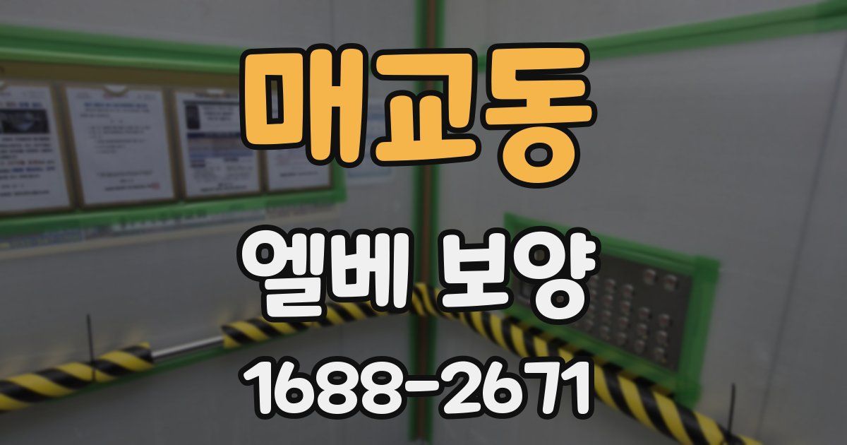 매교동 엘베 보양