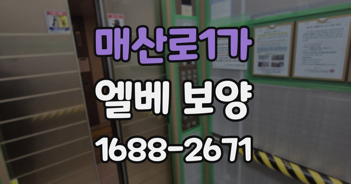 매산로1가 엘베 보양