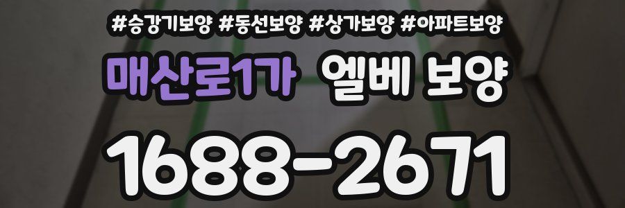 매산로1가 엘베 보양
