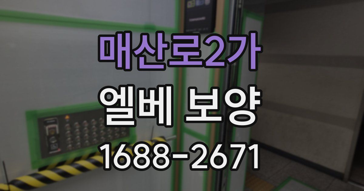 매산로2가 엘베 보양
