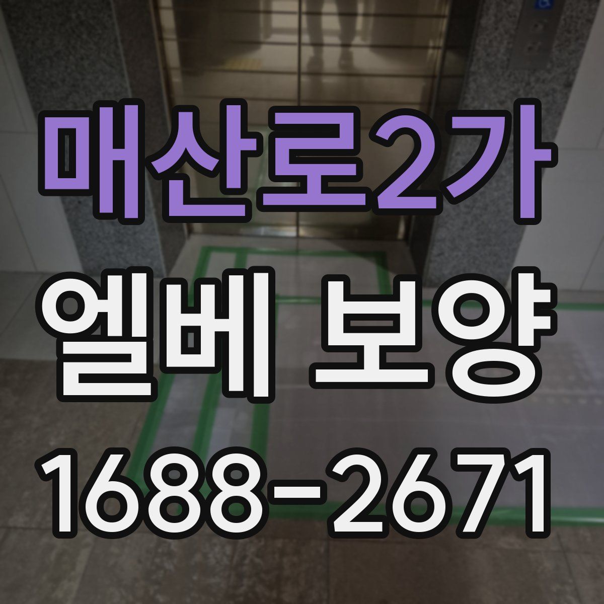 매산로2가 엘베 보양