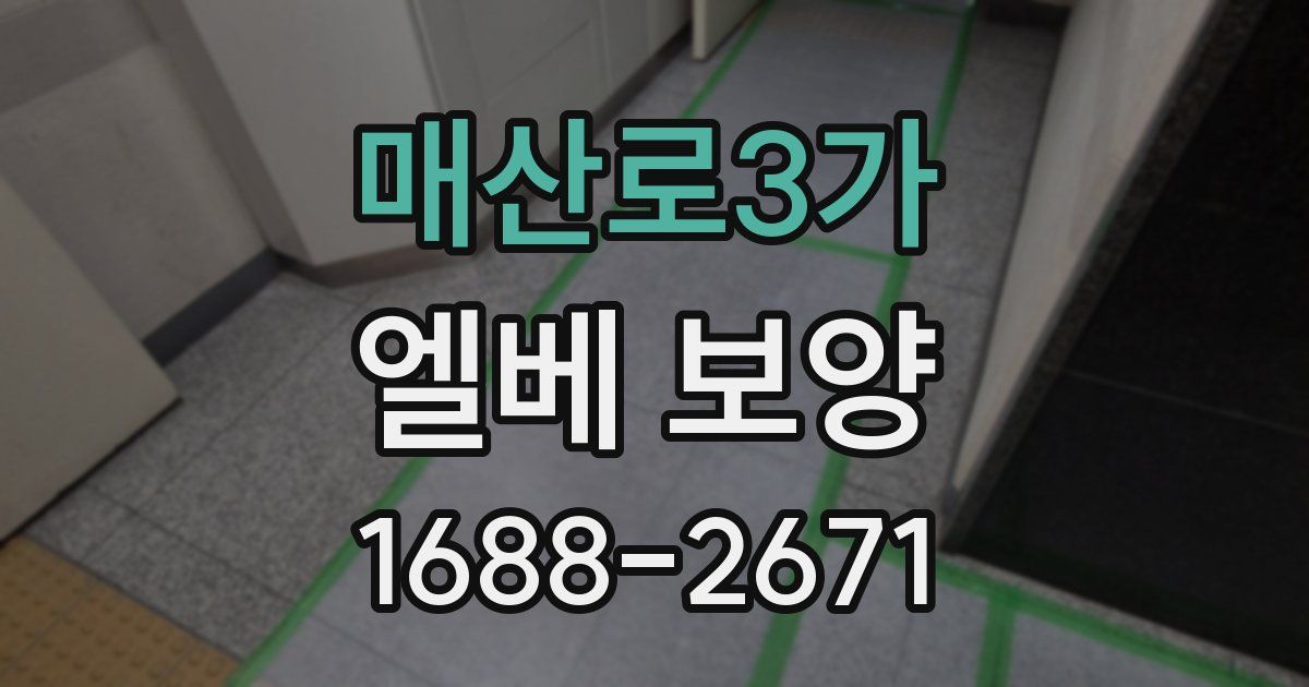 매산로3가 엘베 보양