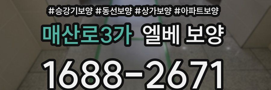 매산로3가 엘베 보양