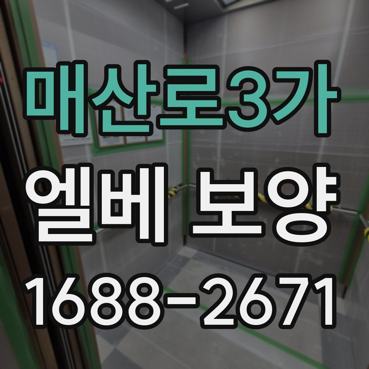 매산로3가 엘베 보양