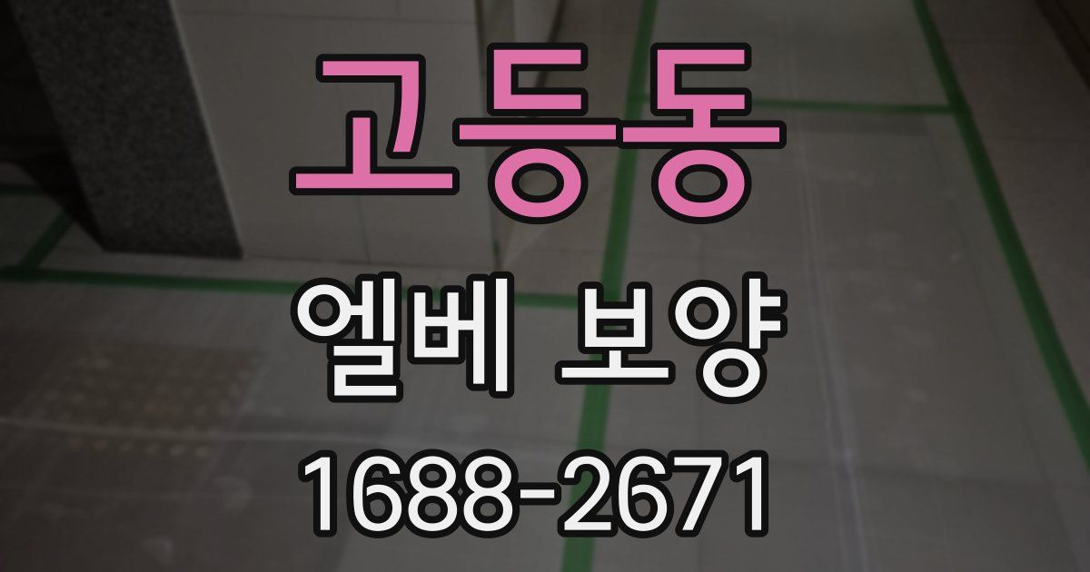 고등동 엘베 보양