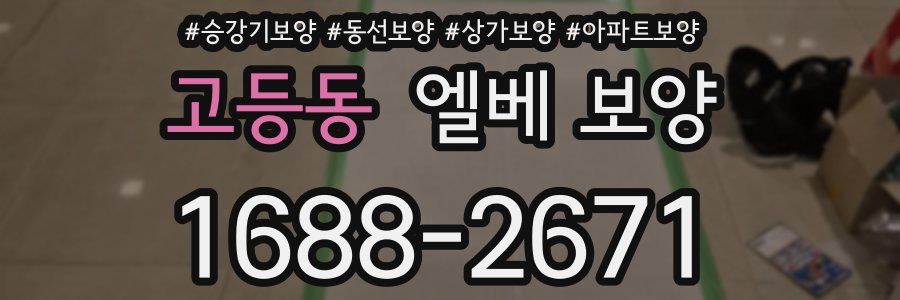 고등동 엘베 보양