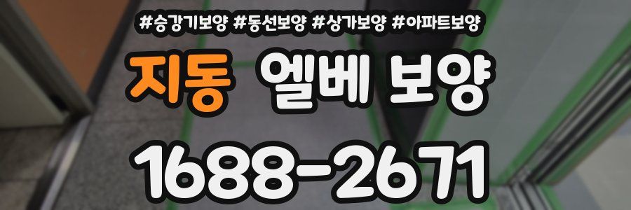 지동 엘베 보양