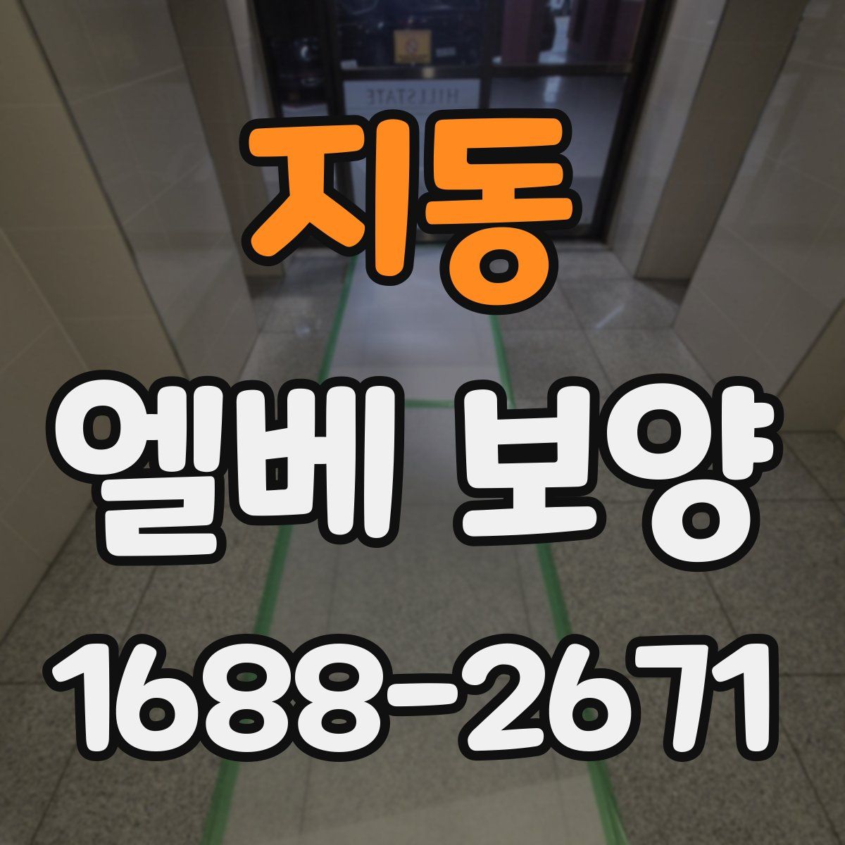 지동 엘베 보양