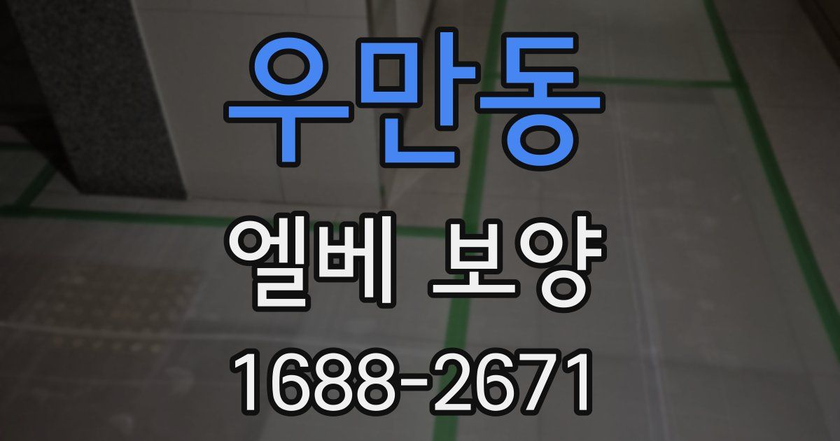 우만동 엘베 보양