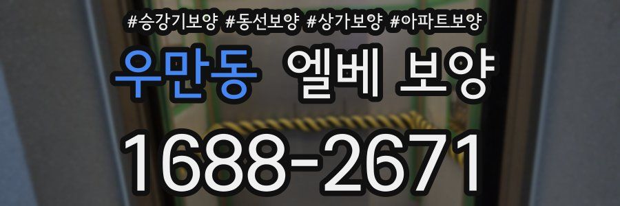 우만동 엘베 보양