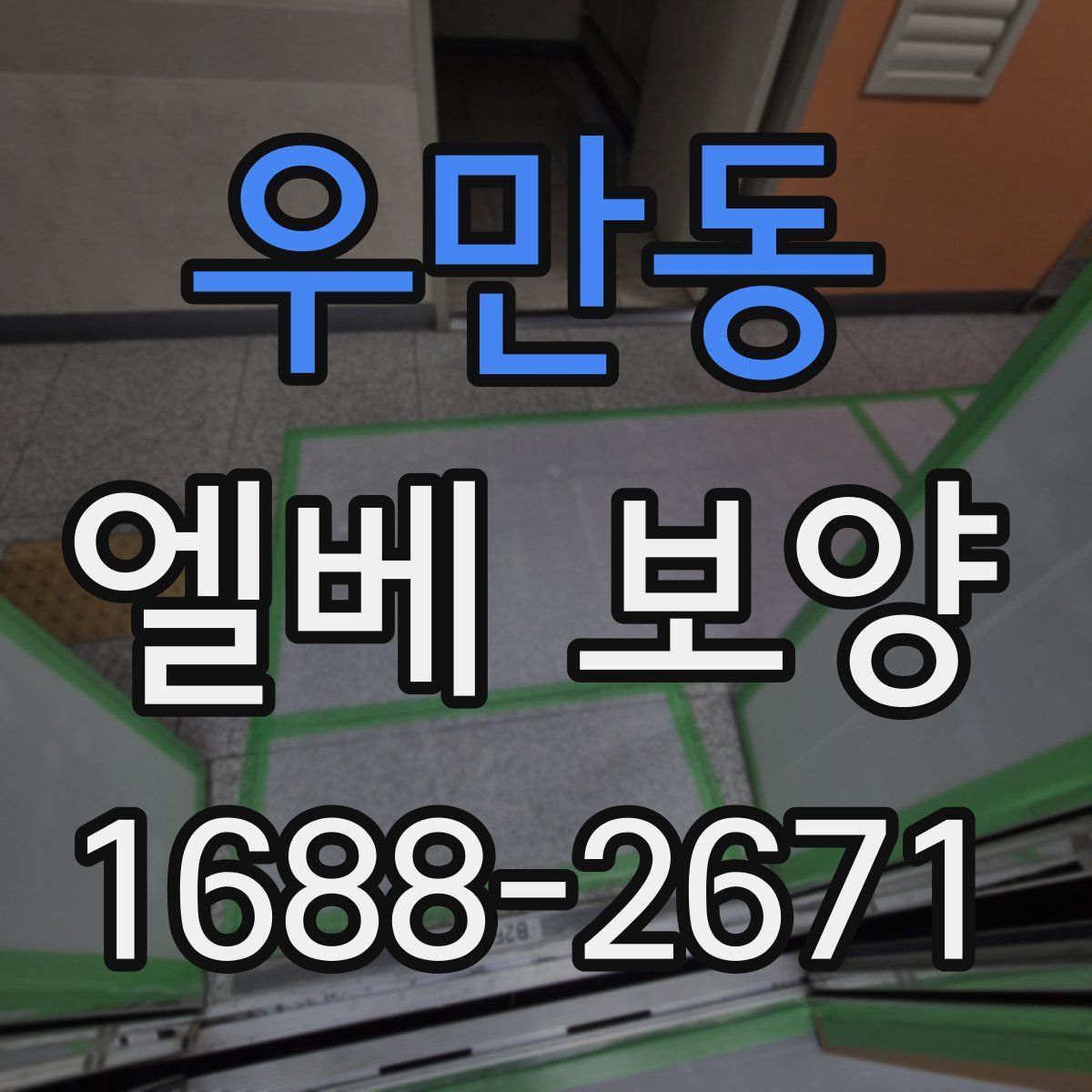 우만동 엘베 보양