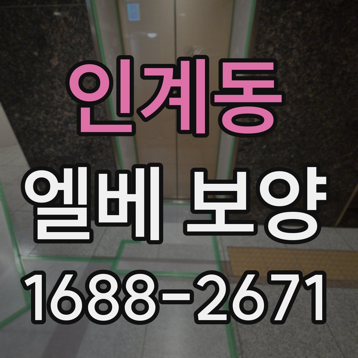 인계동 엘베 보양