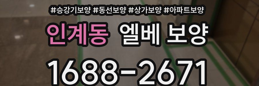 인계동 엘베 보양