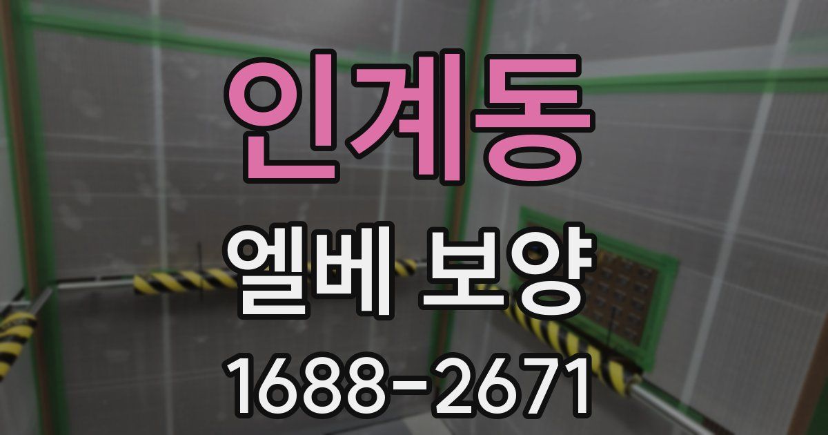 인계동 엘베 보양